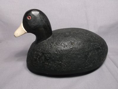 Techlow Coot