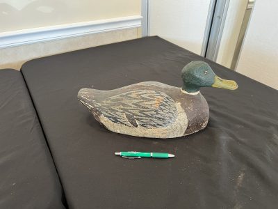 FRED BOHL mallard-Large